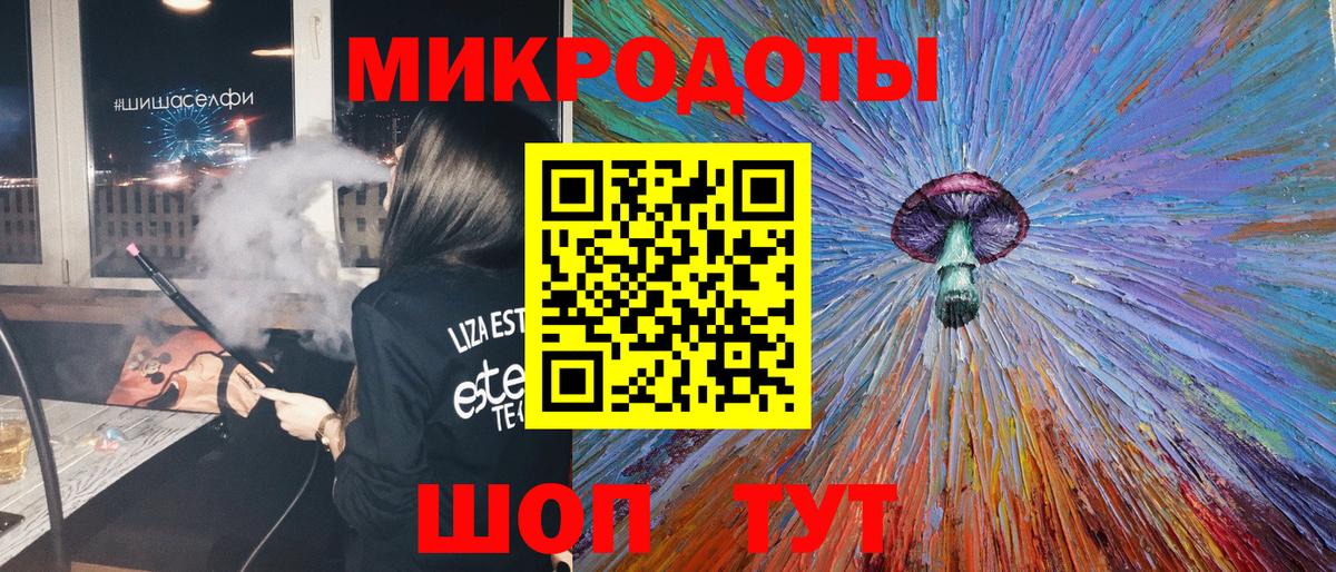 Псилоцибиновые грибы Psilocybe Мурманск