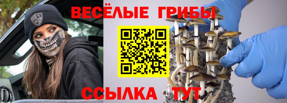 Галлюциногенные грибы MAGIC MUSHROOMS  Псилоцибиновые грибы GOLDEN TEACHER  Вход с VPN  Мурманск 